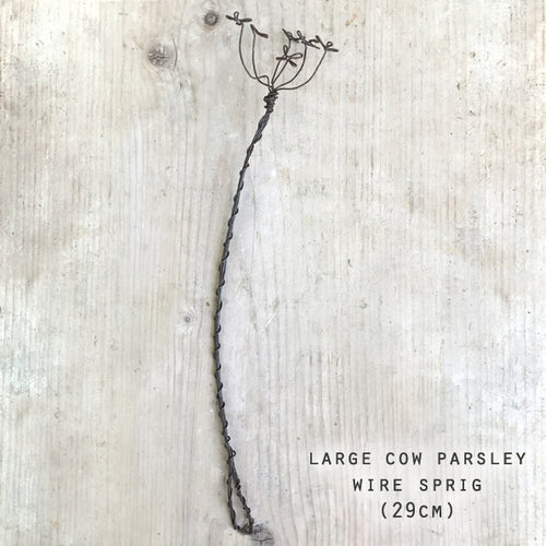 Wire Sprig Cow Parsley - large & small