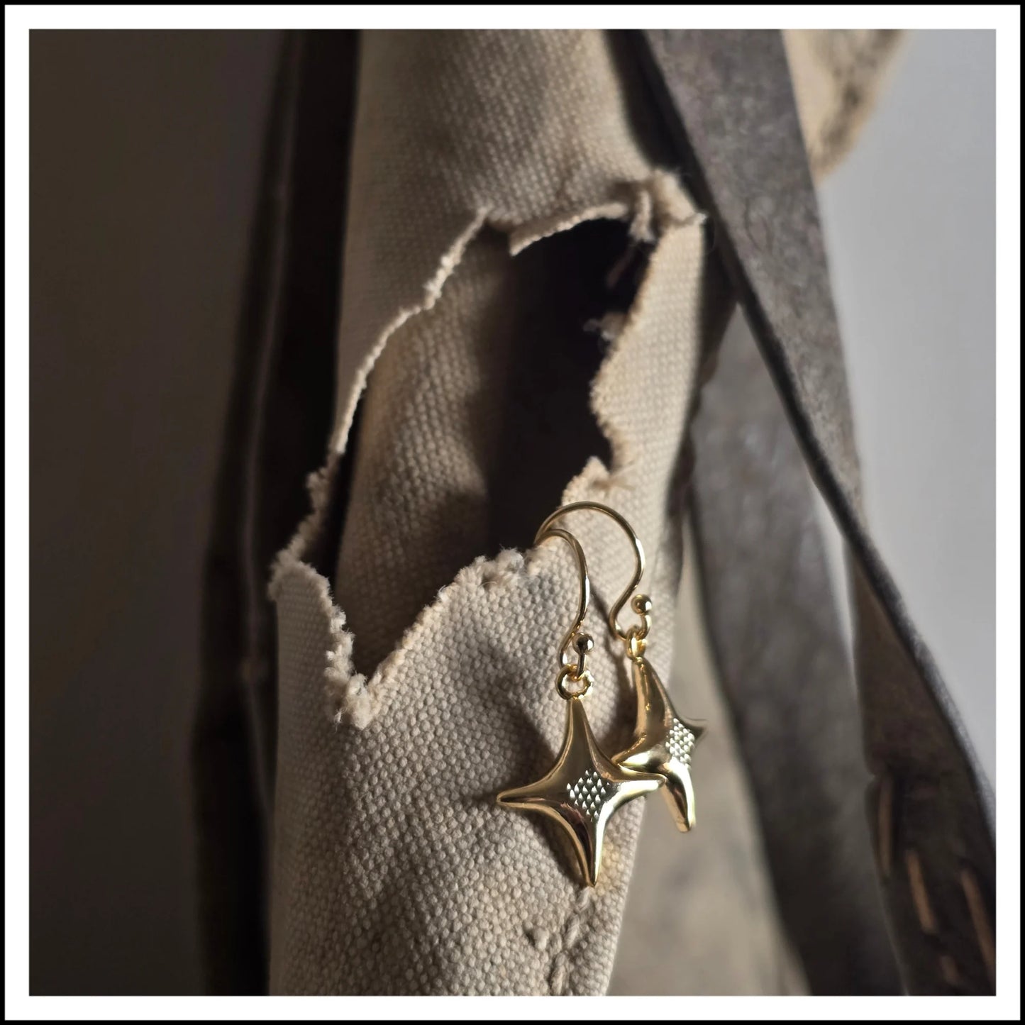 Paird North Star Earrings