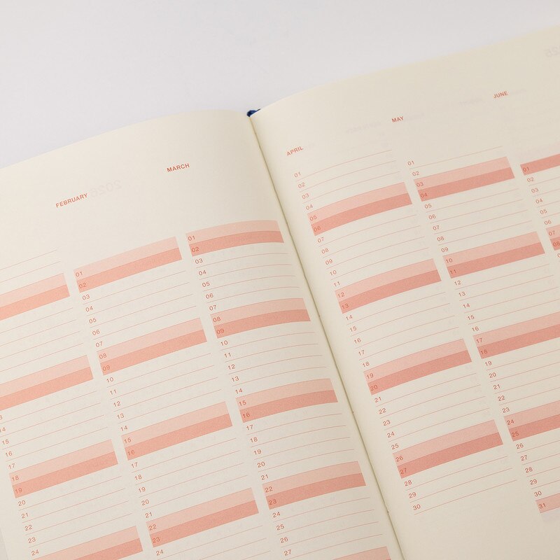Any Day Now 2025 Diary