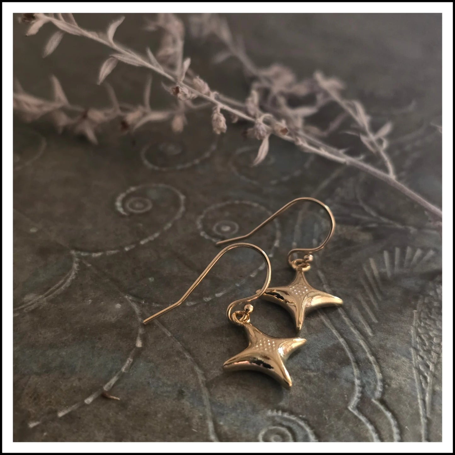 Paird North Star Earrings