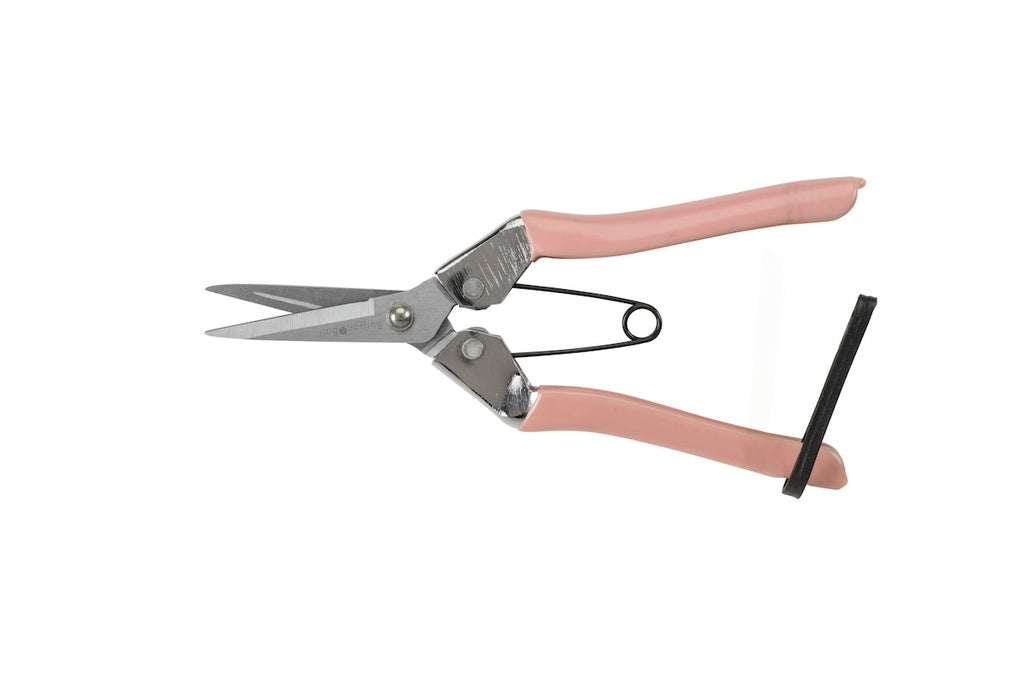 Burgon & Ball Fruit and Flower Snips - Blush