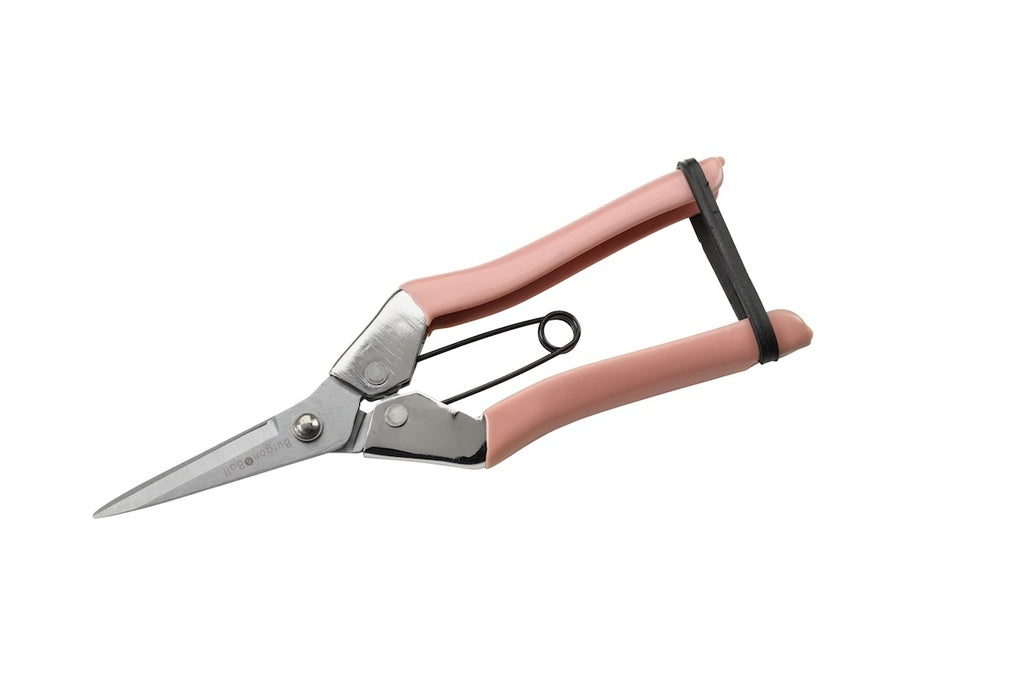 Burgon & Ball Fruit and Flower Snips - Blush