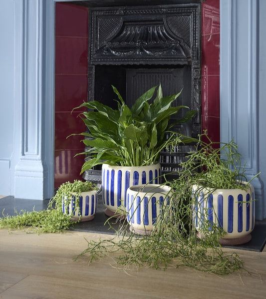 Burgon & Ball Indoor Pots - Blue Stripe