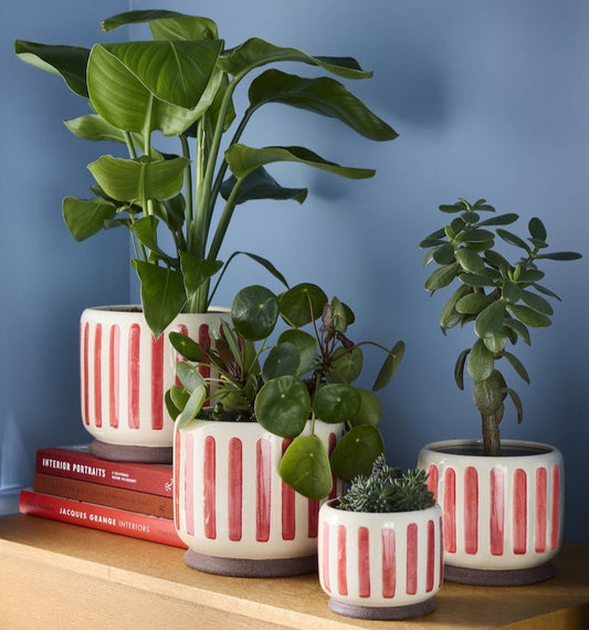 Burgon & Ball Indoor Pots - Red Stripe