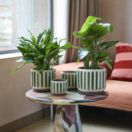 Burgon & Ball Indoor Pots - Green Stripe