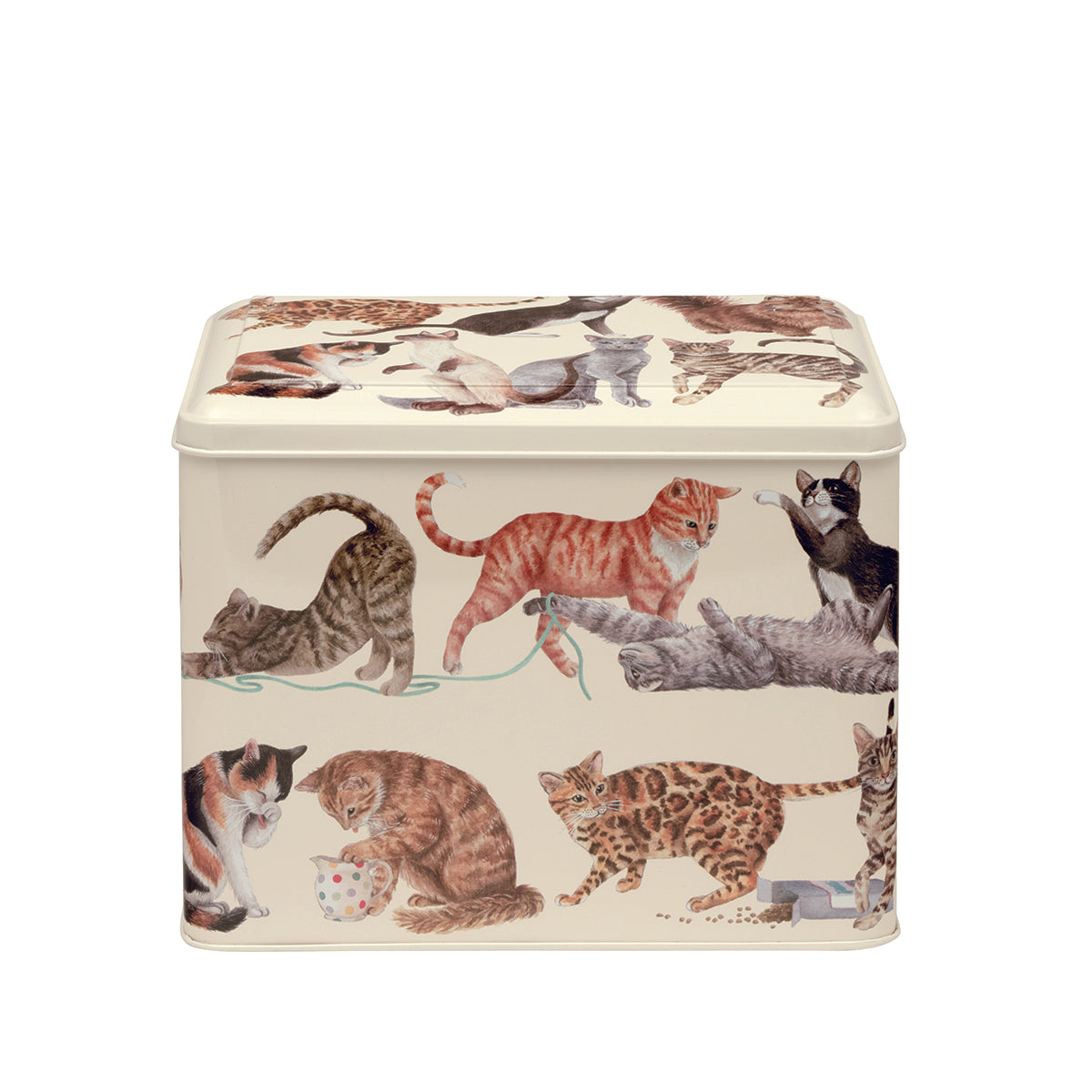 Emma Bridgewater Cat Tin