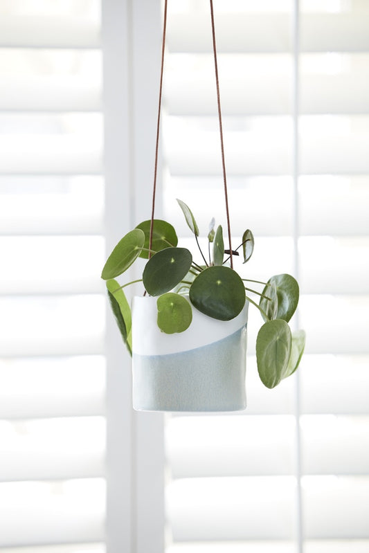 Burgon & Ball Hanging Pot - Dip