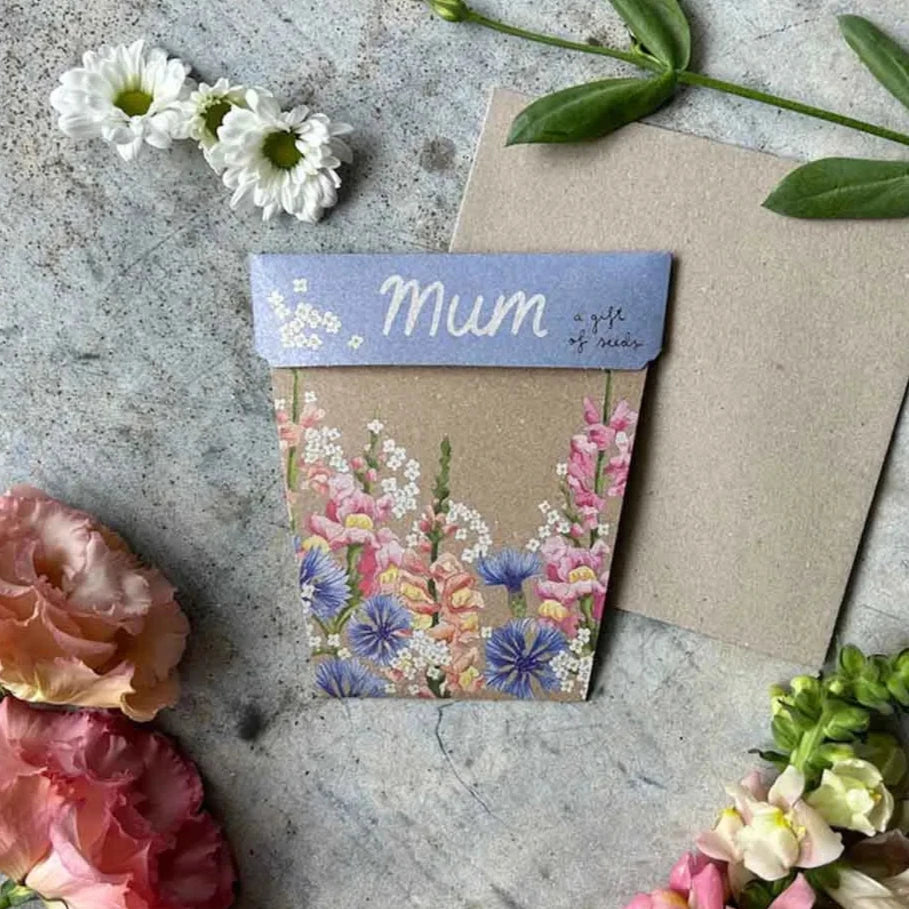 Sow 'n Sow Gift of Seeds - Mum Gift of Seeds