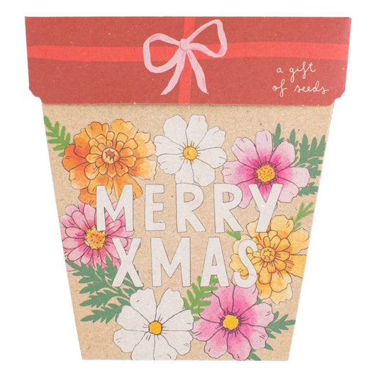 Sow 'n Sow Gift of Seeds - Xmas Blooms