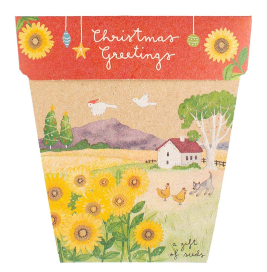 Sow 'n Sow Gift of Seeds - Christmas Sunflower