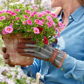 Burgon & Ball Sophie Conran - Striped Garden Gloves - 2 colours