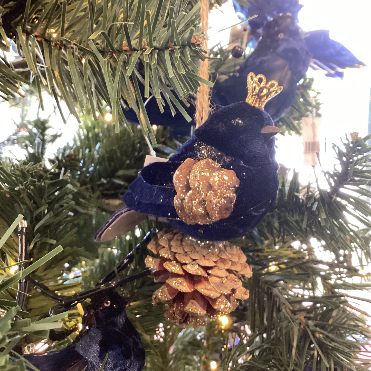 Navy Blue Velour Robin