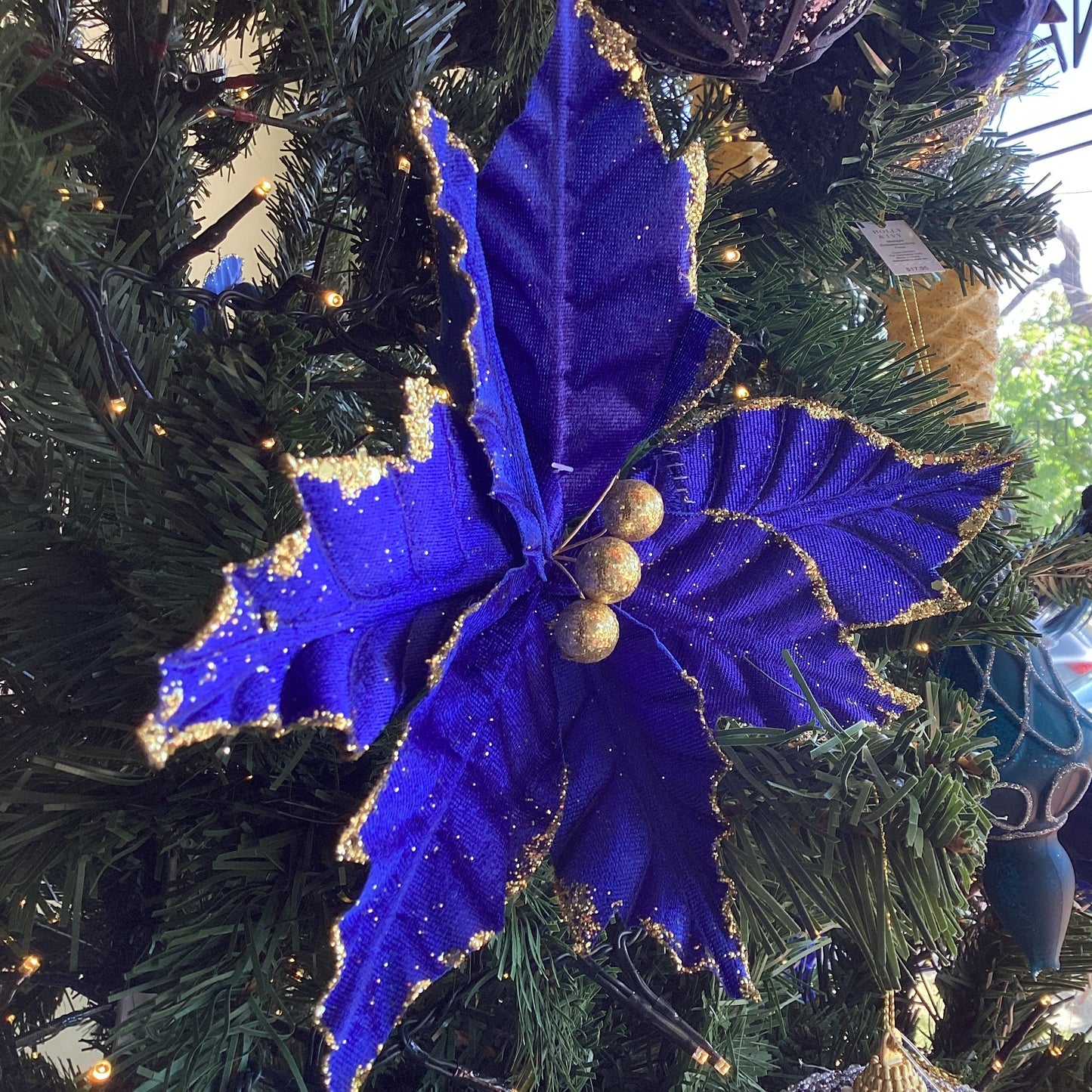 Midnight Blue Poinsettia flower clip