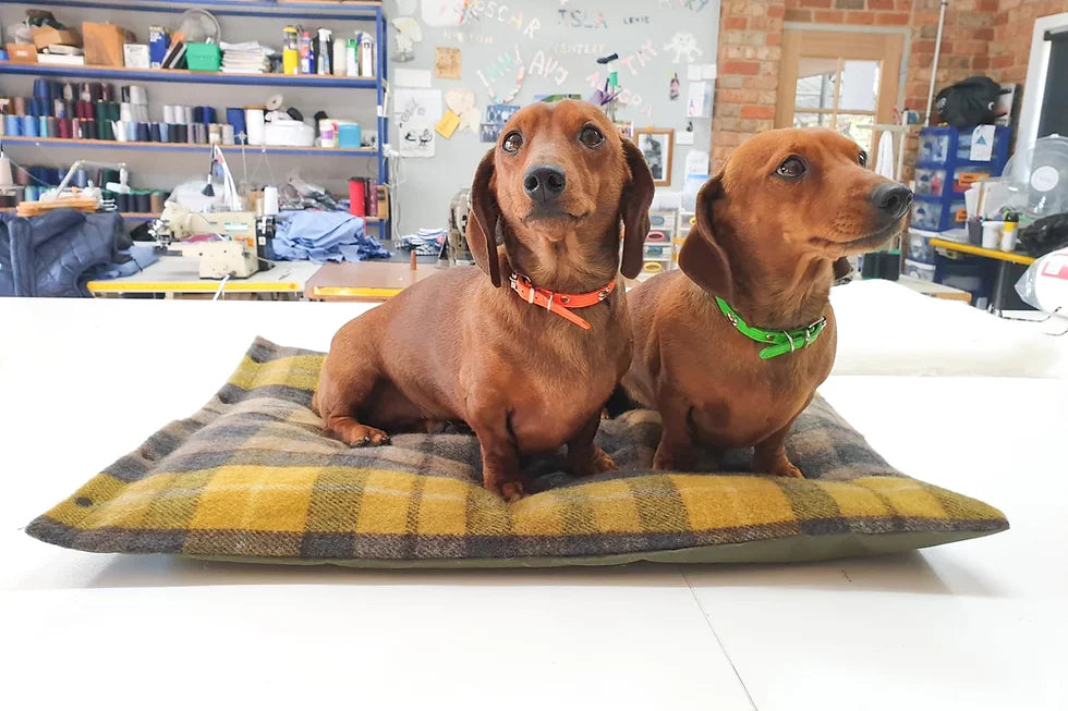 Recycled Wool Tartan Pet Pillow by Stone Hill View - 2 sizes