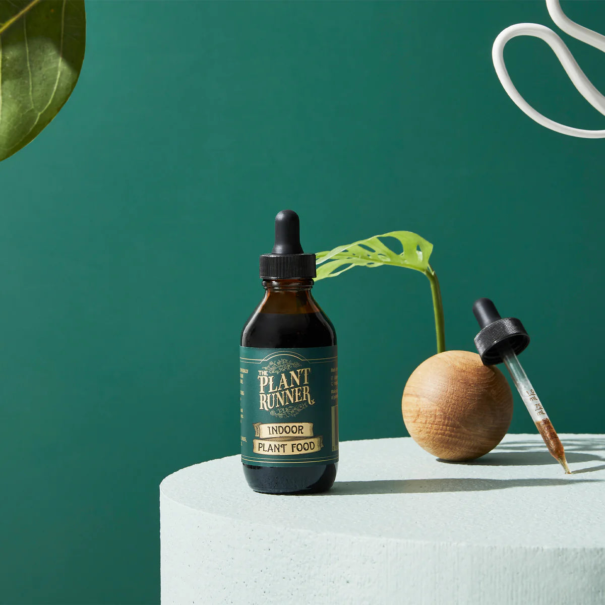 The Plant Runner - Indoor Plant Food