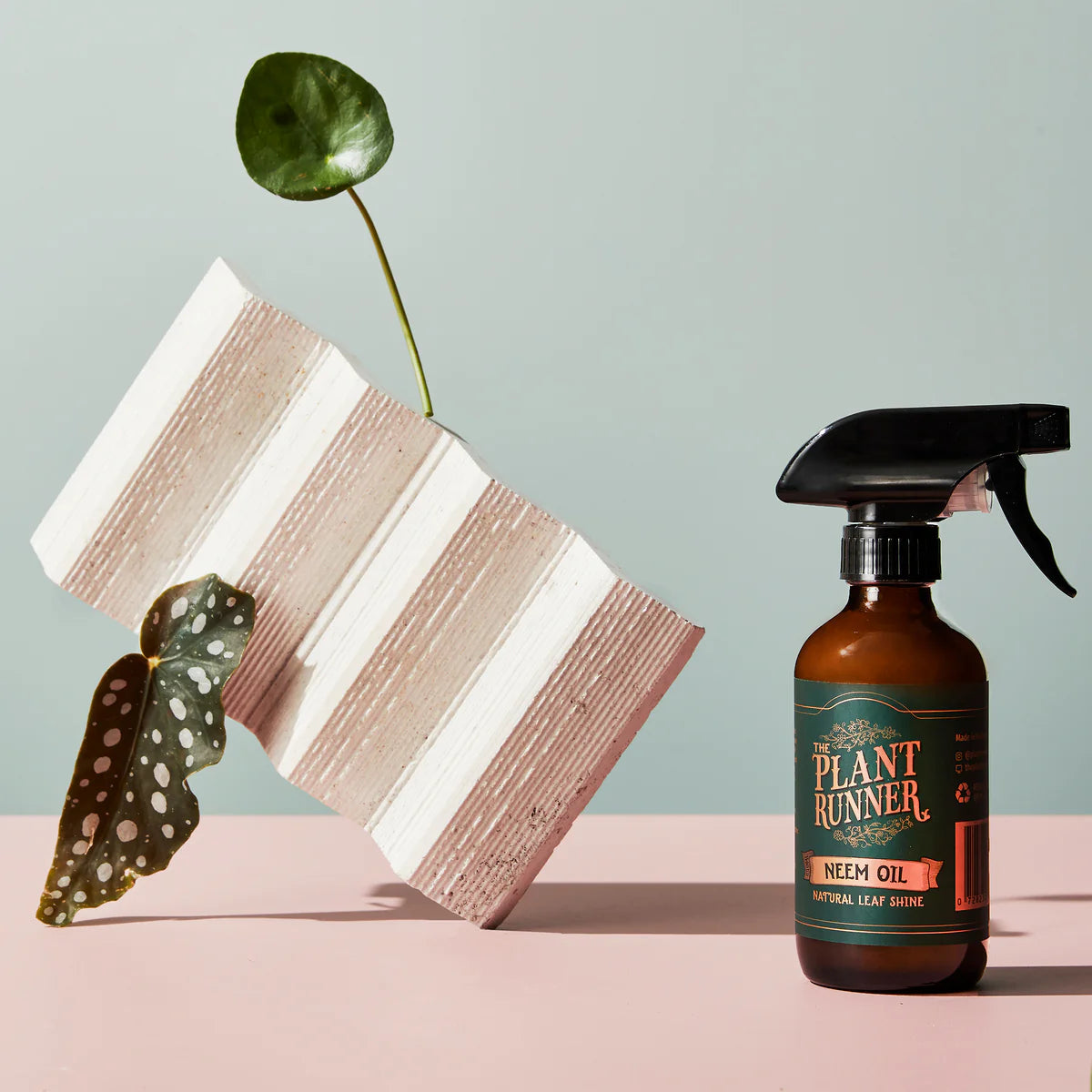 The Plant Runner - Neem Oil