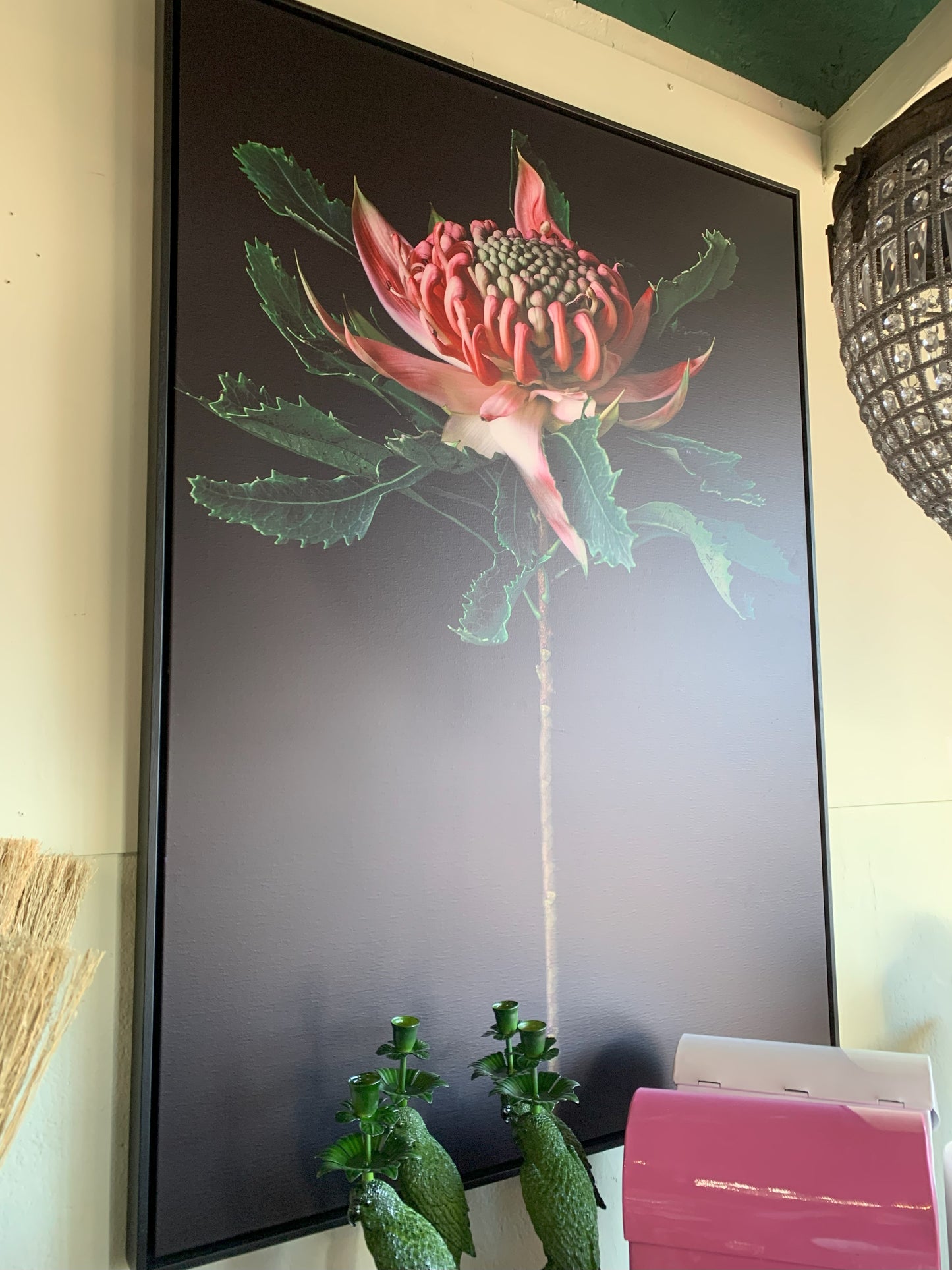 Floragraphica Waratah on Black  - Still Life Photograph on Canvas framed