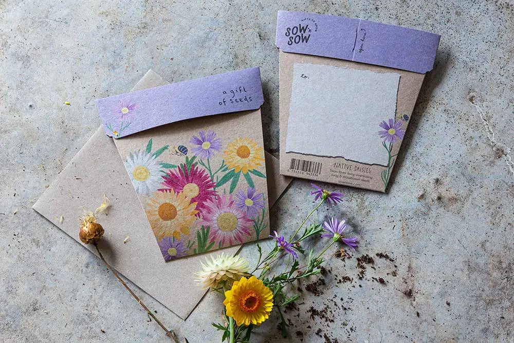 Sow 'n Sow Gift of Seeds - Native Daisies