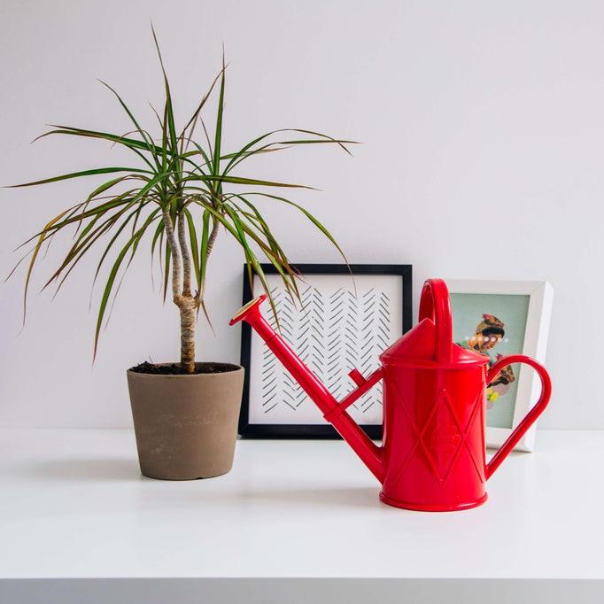 The Bartley Burbler Watering Can 2 Pint (1 Litre)