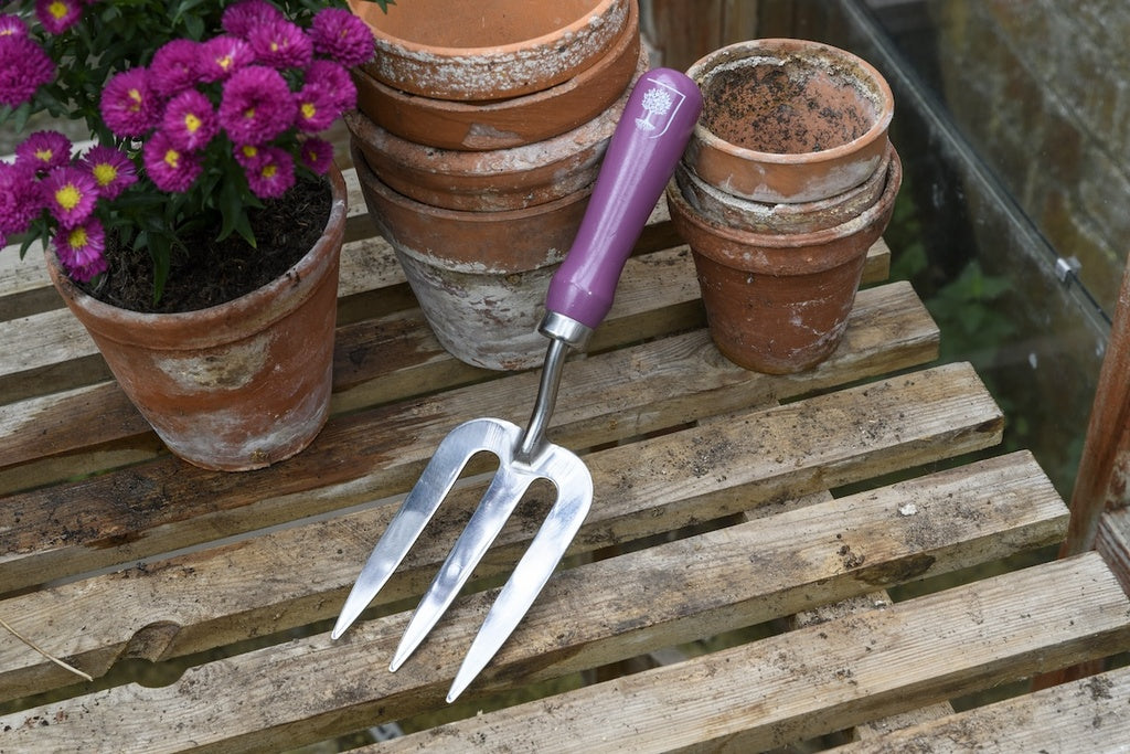 Burgon & Ball Trowel and Fork Gift Boxed Set - Asteraceae