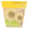 Sow 'n Sow Gift of Seeds - Sunflowers