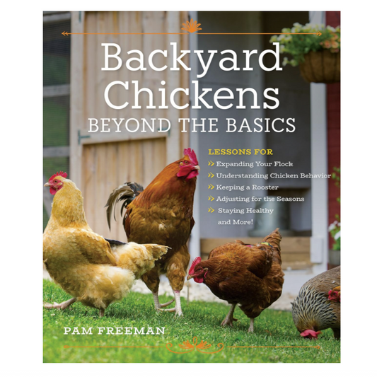 Backyard Chickens Beyond the Basics