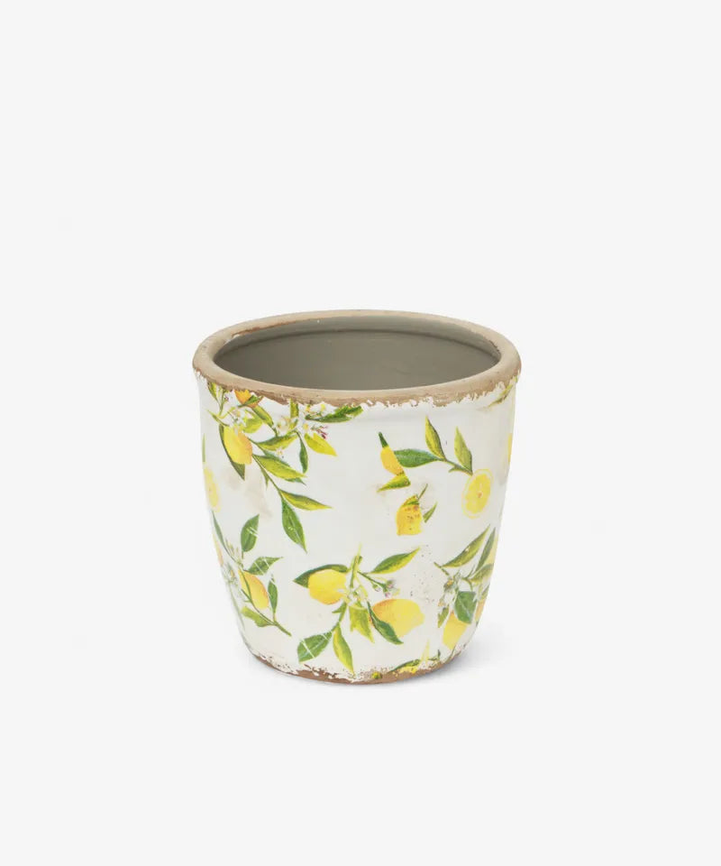 Botanical Lemon Pot - large