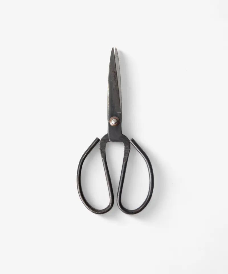 Black Herb Scissors