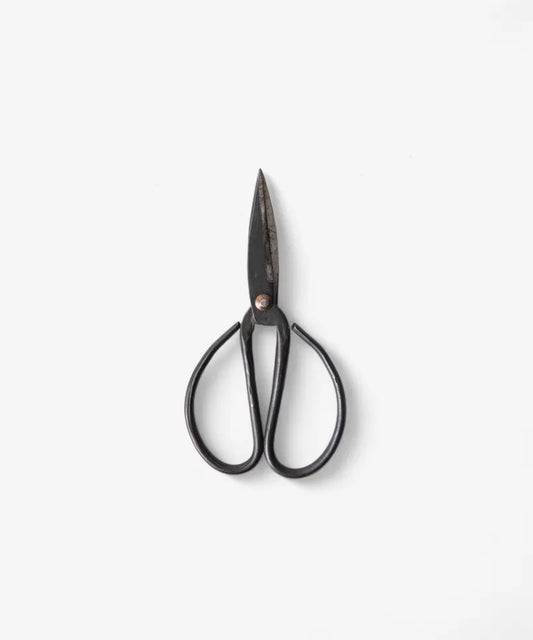 Black Herb Scissors