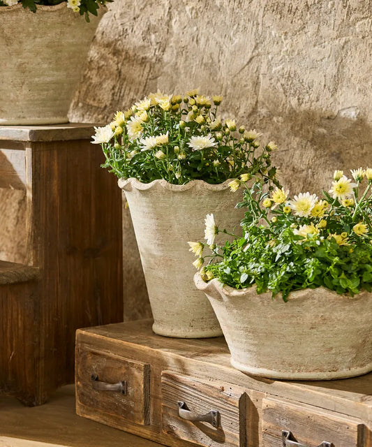 Wavy Planter Vase