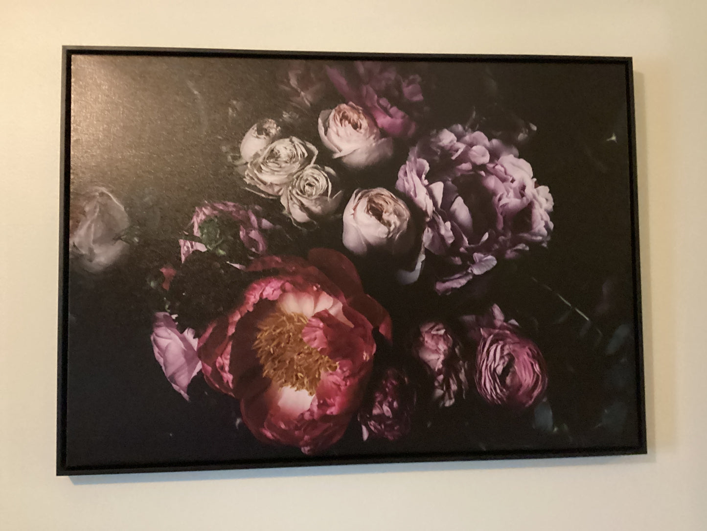 Floragraphica Jane (dark) on Canvas