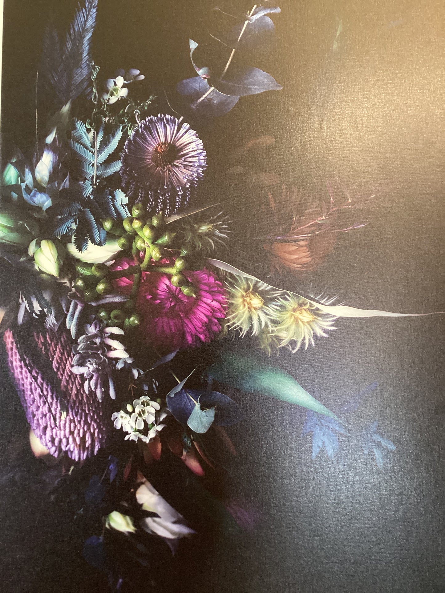 Floragraphica ‘Wild-side’  on Canvas (ungraded)