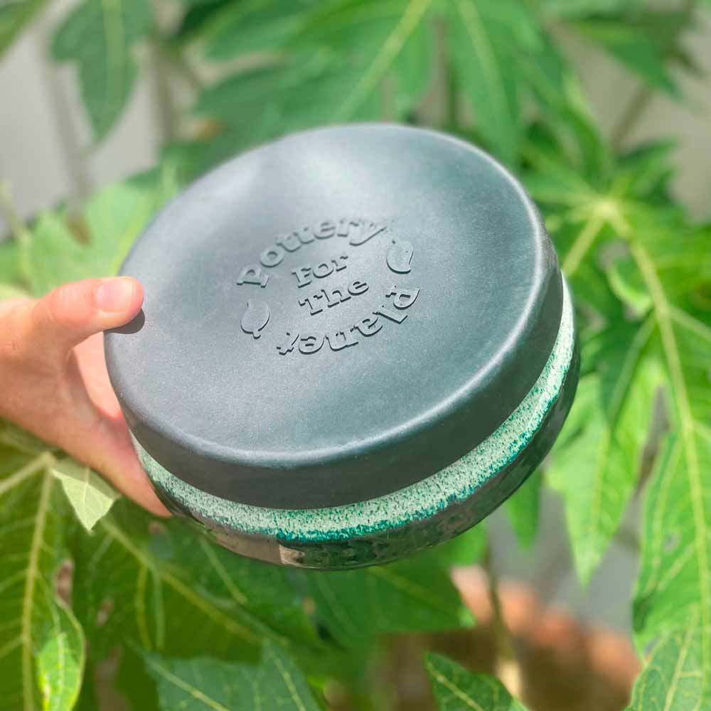 Pottery for the Planet Travel Bowl - Sexy Lime