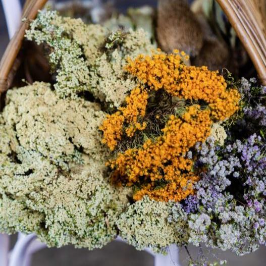 Christmas Wreath-Making Workshop 2025