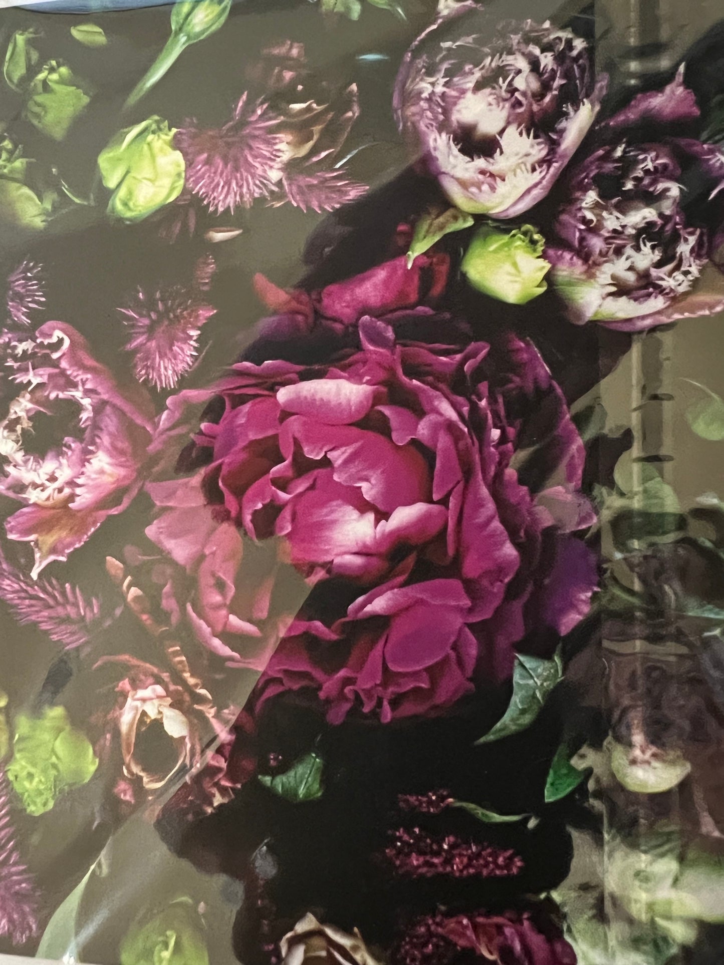 Floragraphica greeting cards