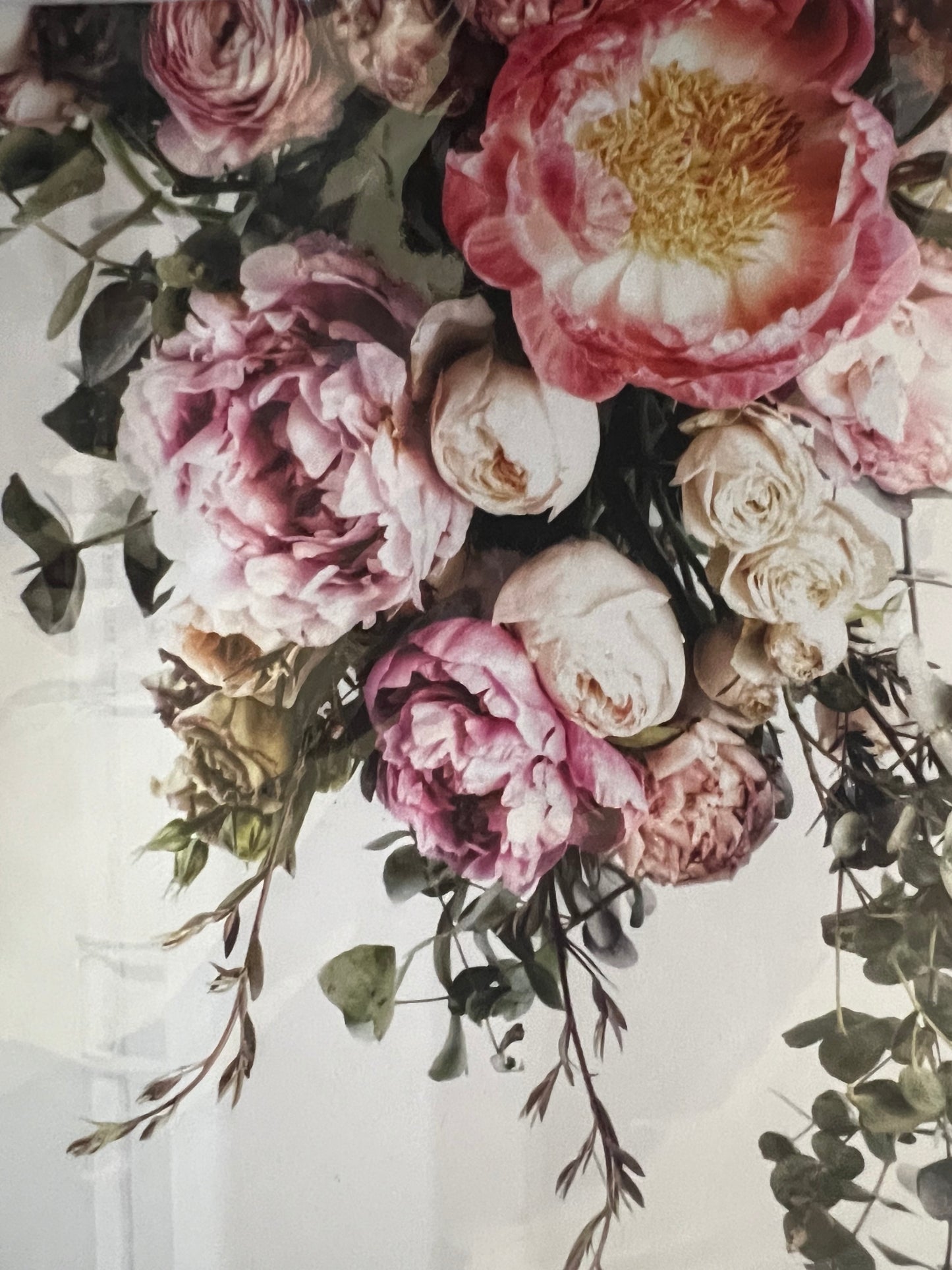 Floragraphica greeting cards