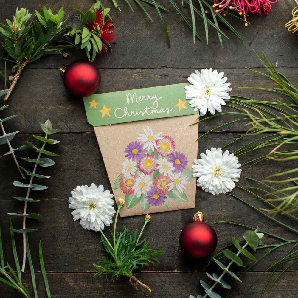 Sow ‘n Sow Gift of Seeds - Christmas Native Daisies