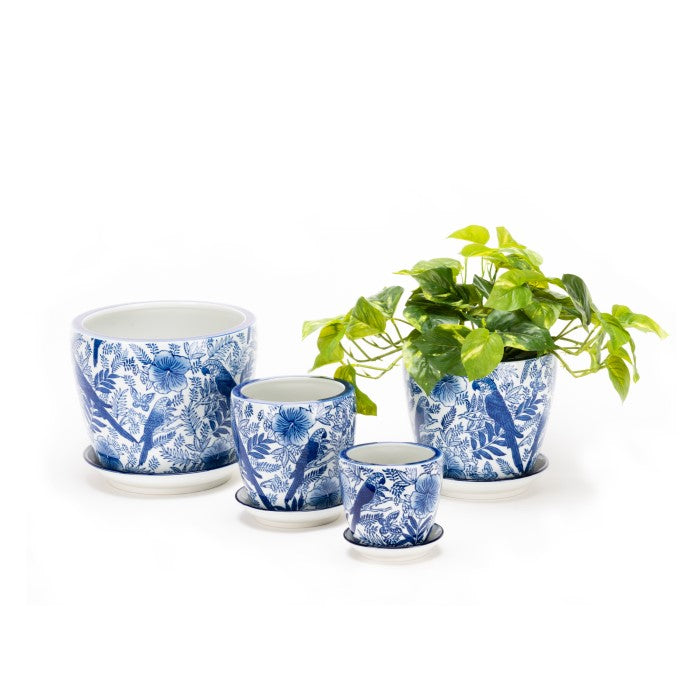 Tropical Blue Bird Pots