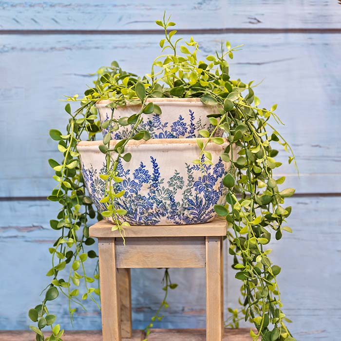 Shallow Lavender Pots