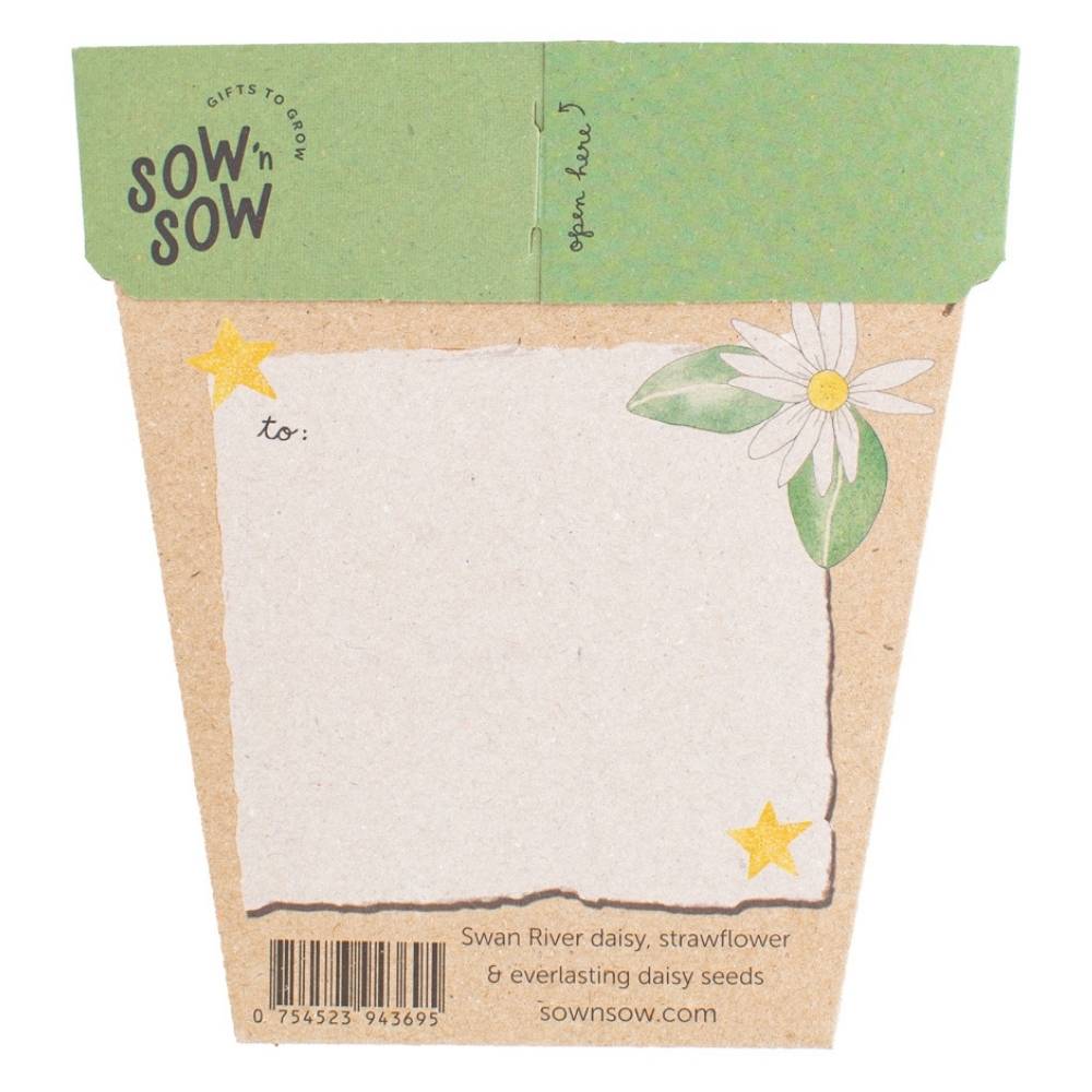 Sow ‘n Sow Gift of Seeds - Christmas Native Daisies