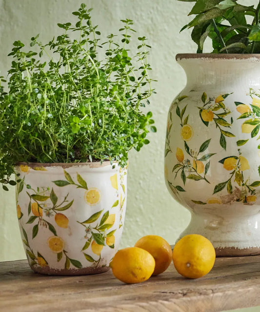 Botanical Lemon Pot - large