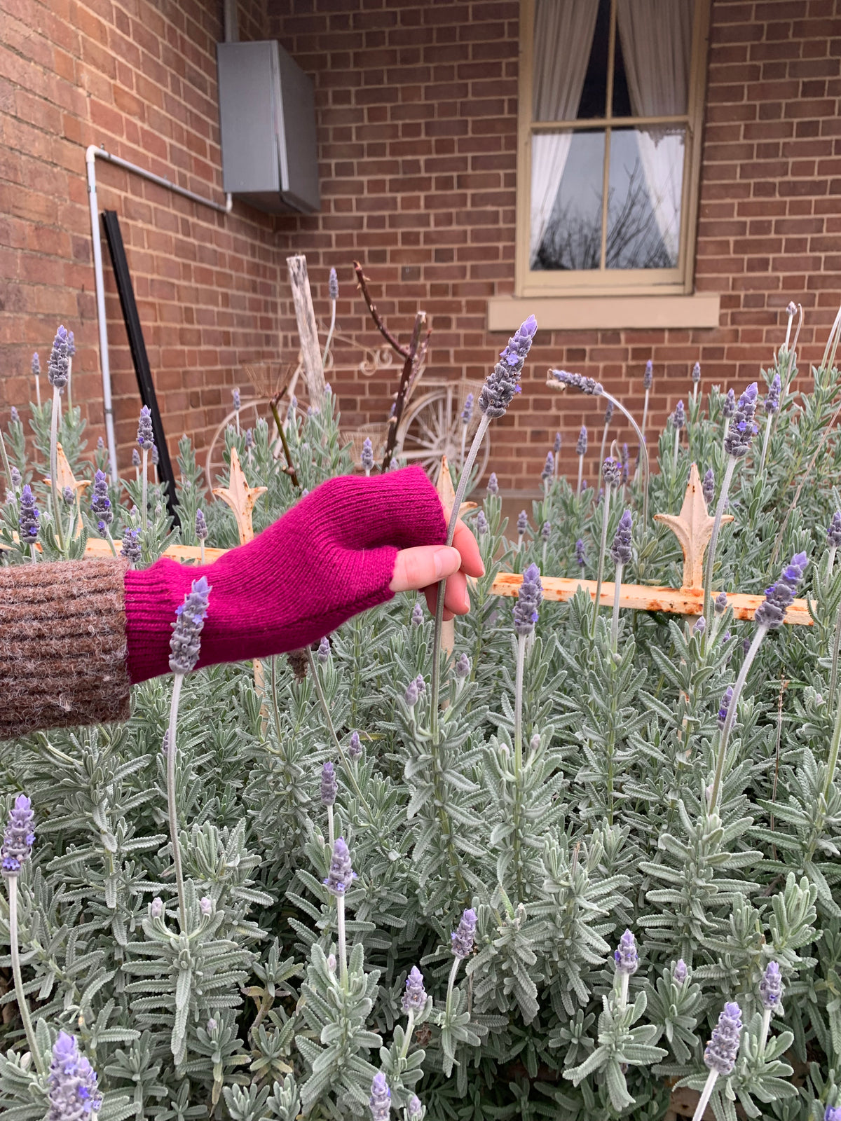 JULIA Mittens Maison Fanli