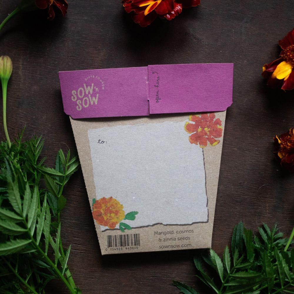 Sow ‘n Sow Gift of Seeds - Thanks a Bunch