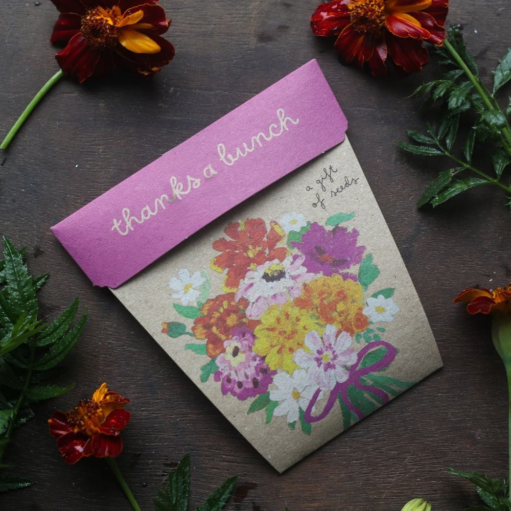 Sow ‘n Sow Gift of Seeds - Thanks a Bunch