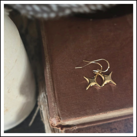 Paird North Star Earrings
