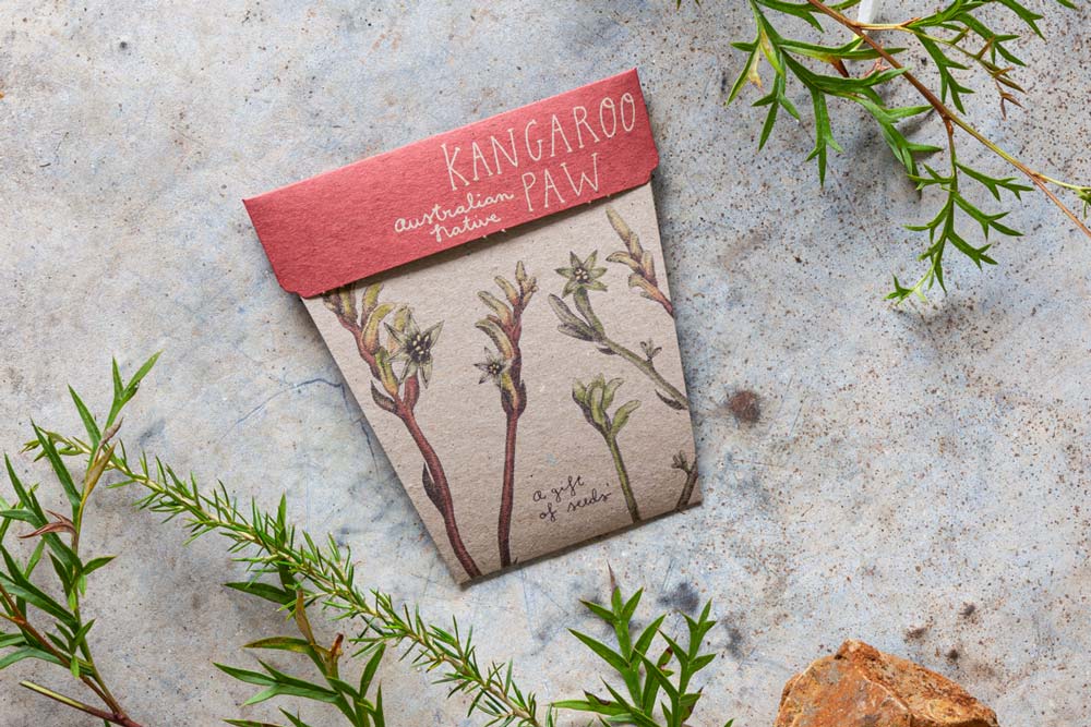 Sow ‘n Sow Gift of Seeds - Kangaroo Paw