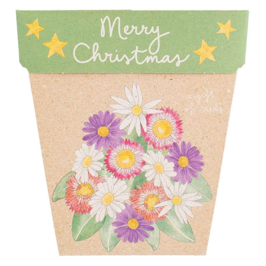 Sow ‘n Sow Gift of Seeds - Christmas Native Daisies
