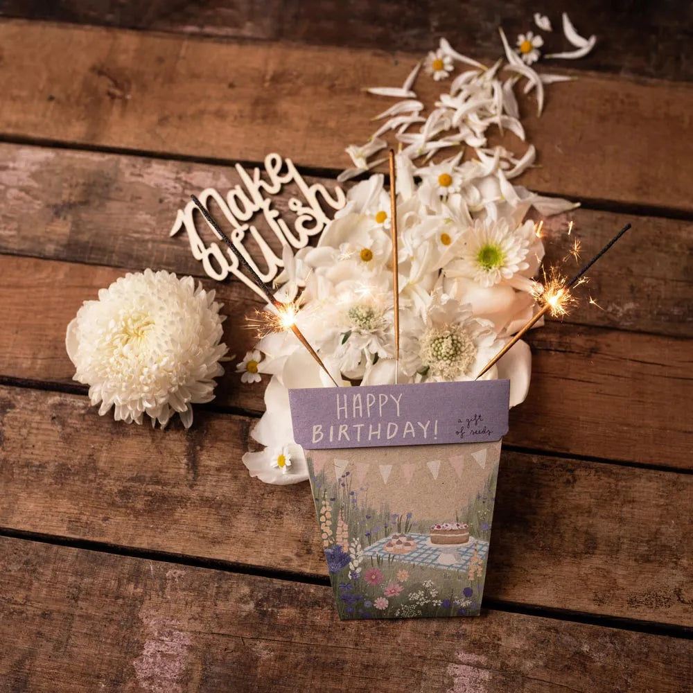 Sow 'n Sow Gift of Seeds - Happy Birthday