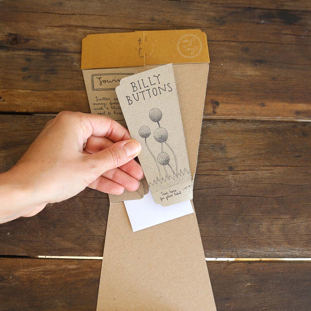Sow 'n Sow Gift of Seeds - Billy Buttons