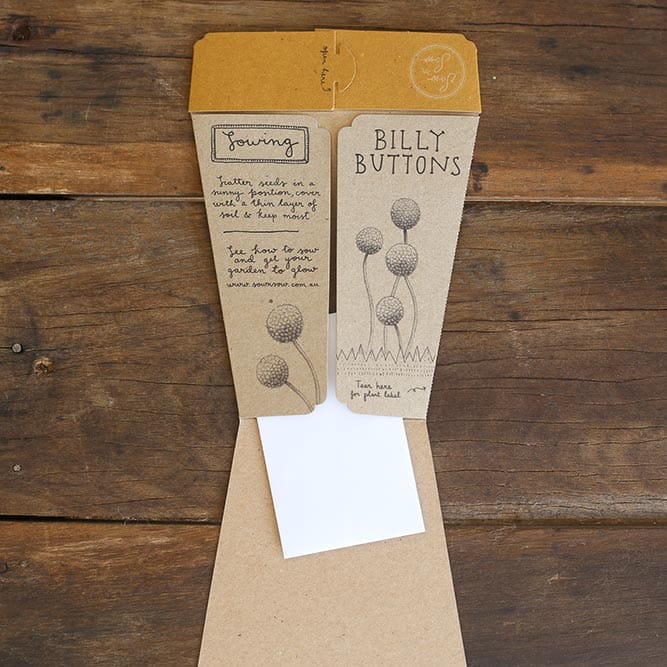 Sow 'n Sow Gift of Seeds - Billy Buttons